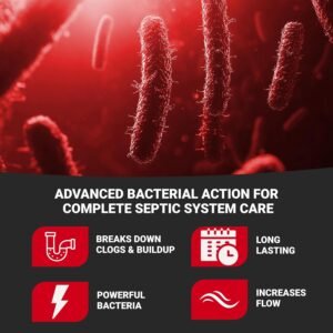 Main Line: 5 Ultimate Steps For Simple Clog Solution In 2026