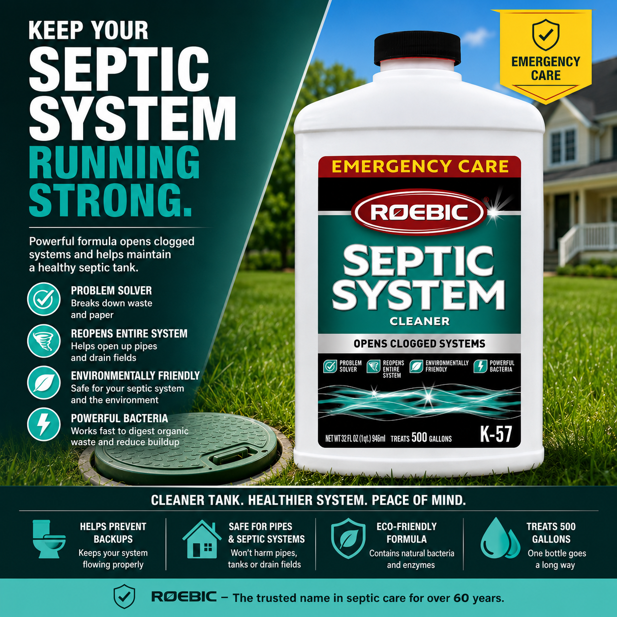 Septic Cleaner: Roebic K-57-Q Septic System Cleaner