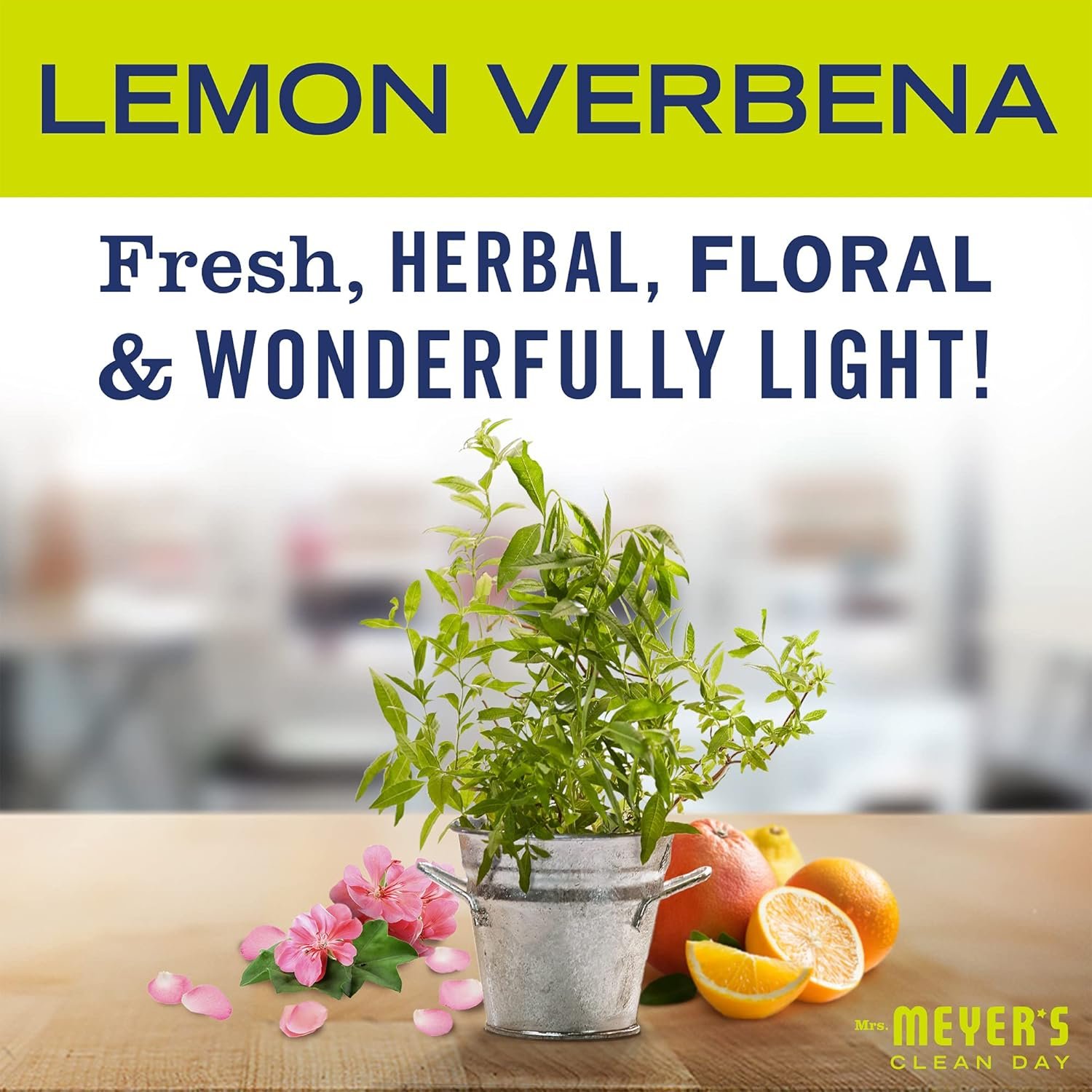 MRS. MEYER'S CLEAN DAY Probiotic Drain Maintenance Liquid, Lemon Verbena, Freshens Disposals and Drains
